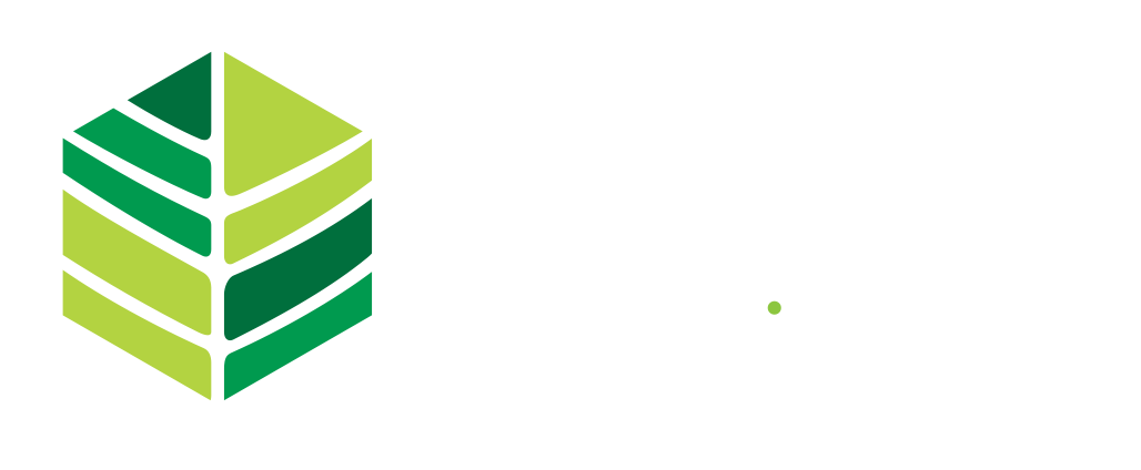 Evergreen